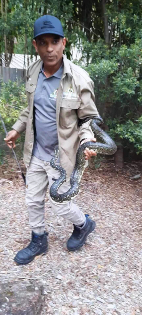 24/7 snake removal Sydney