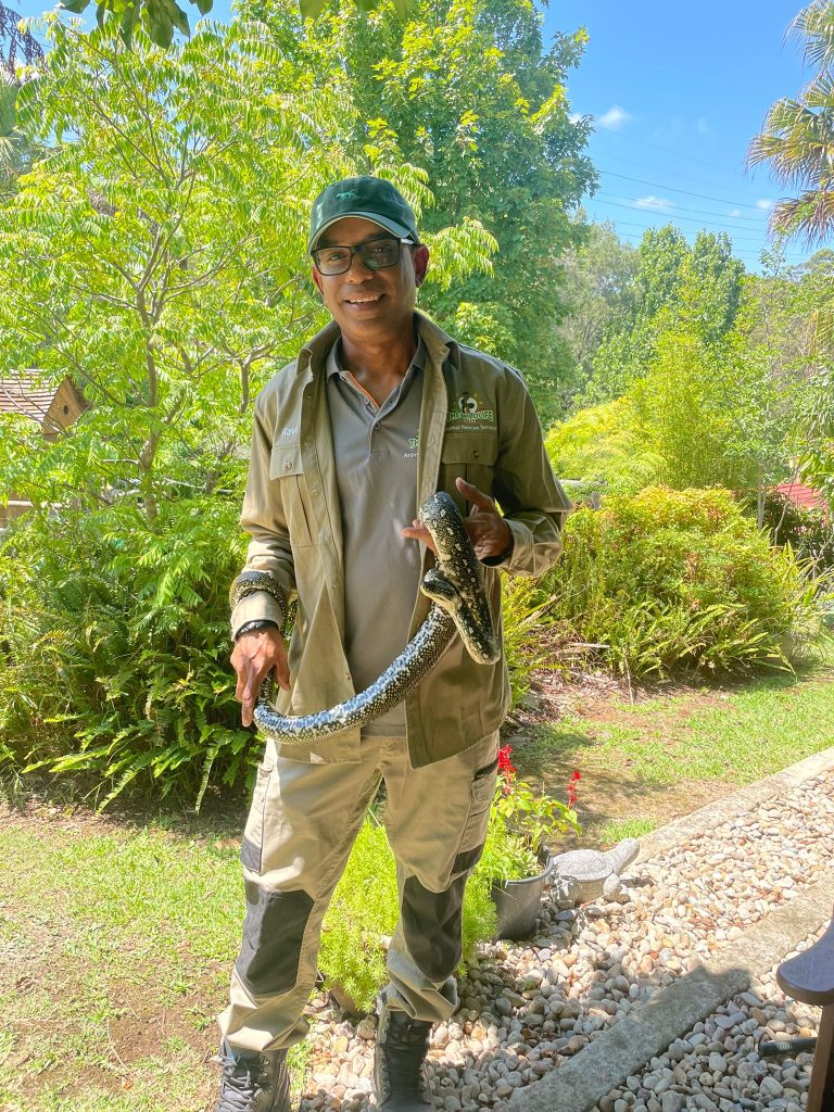 Snake Catcher & Wildlife Rescue / Sydney & Surrounds