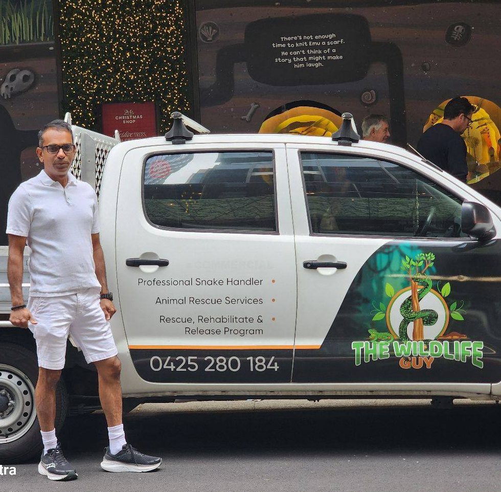 Best Snake Catcher in Sydney